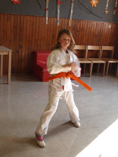 slika12.jpg - predstavitev karateja